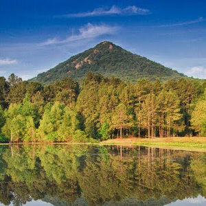 Meet your Posher, Joshua